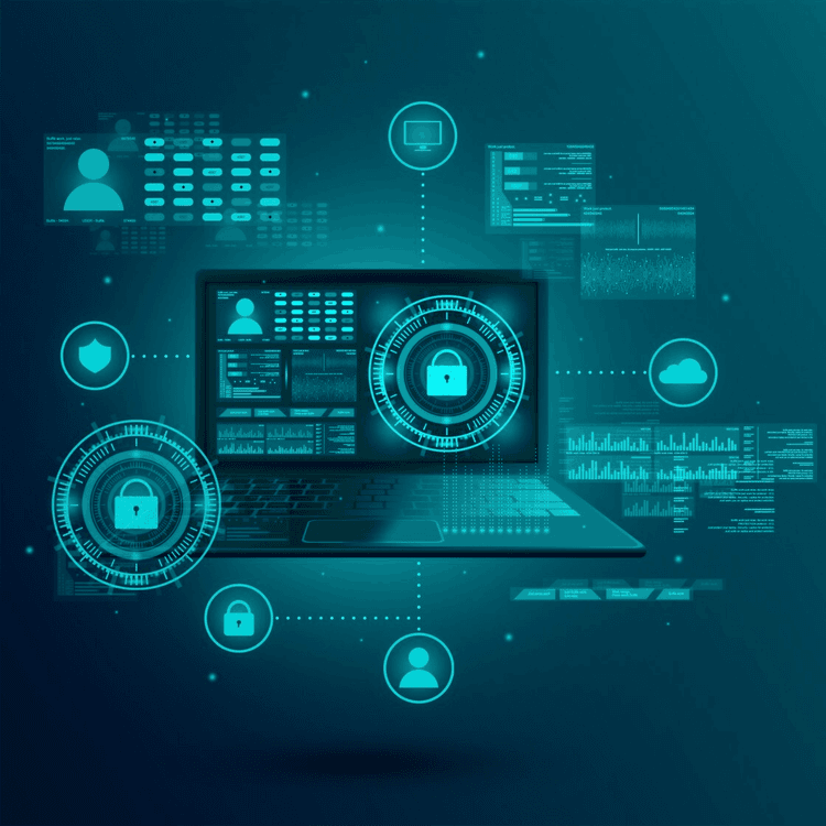 Web Application Vulnerability Assessment